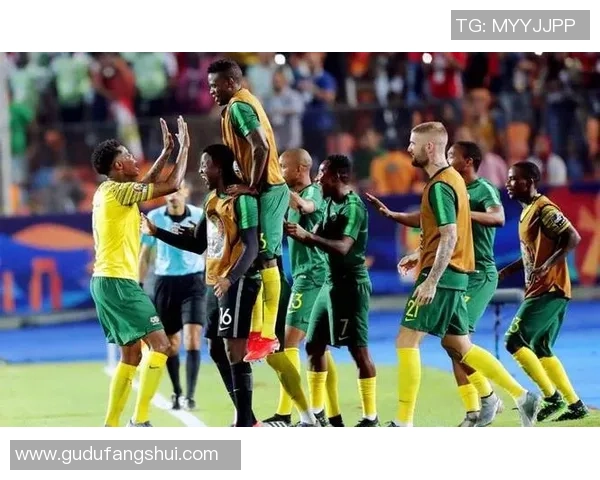 胜负彩分析加纳与刚果对决前瞻及预测结果解析