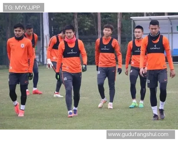 鲁能与辽足激战正酣精彩直播全程回顾与赛后分析 鲁能与辽足激战正酣精彩直播全程回顾与赛后分析